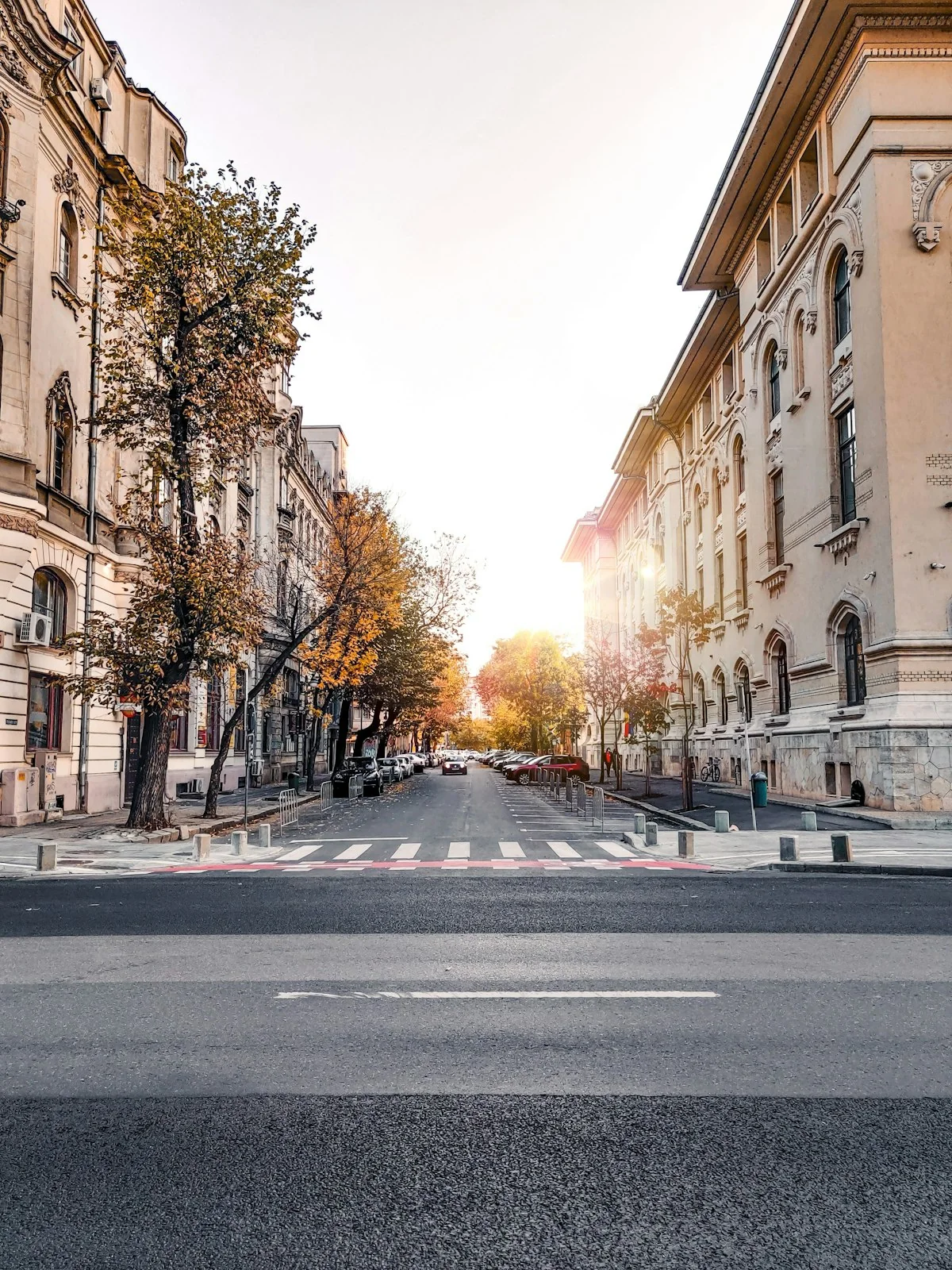 Autumn light on a central Bucharest boulevard